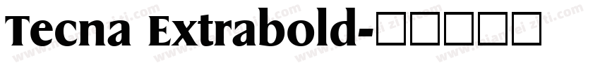 Tecna Extrabold字体转换